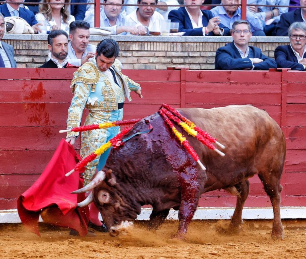 Morante sustituye este domingo a José María manzanares en córdoba, que no podrá torear debido a un esguince de tobillo