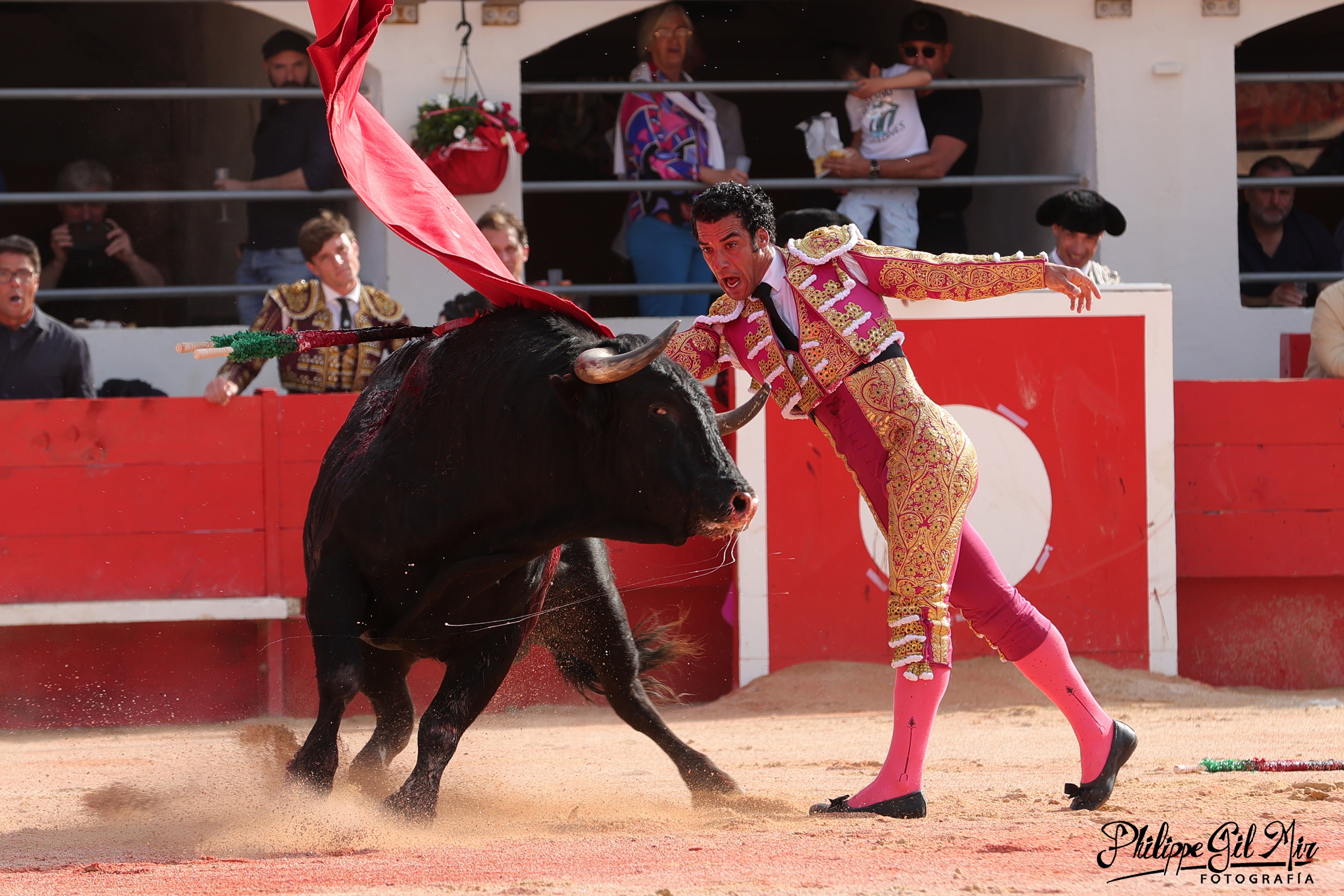 La ACTF (Asociación de los Críticos Taurinos de Francia) sección Suroeste de Francia ha definido los premios para la temporada 2024