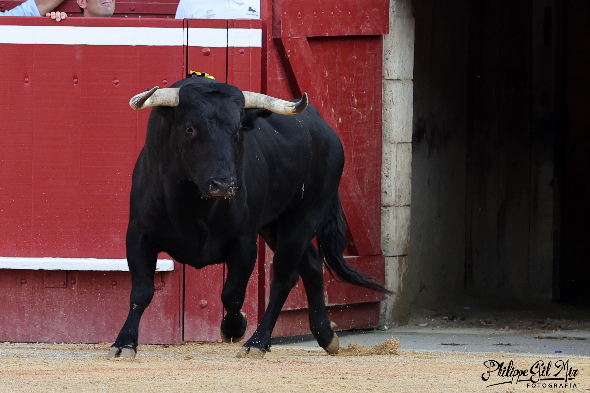 La Unión de Villas Taurinas espera que, en la sesión del 14 de noviembre, los distintos grupos políticos apoyen la postura de la Comisión Jurídica y rechacen de forma definitiva la propuesta
