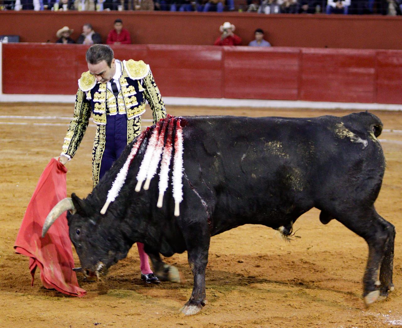 El encierro de Fernando de la Mora, bien presentado y de gran clase, destacó especialmente en el primero, cuarto y sexto bis