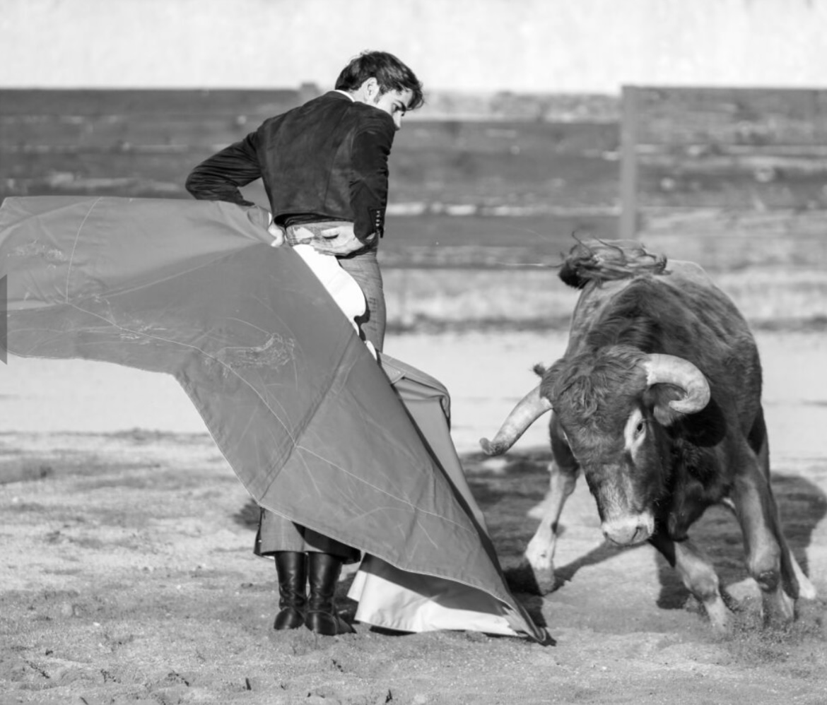 Recientemente, Fernando Plaza estuvo en la ganadería de Domingo Hernández, donde destacó su notable concepto del toreo y una mano izquierda que no pasa desapercibida