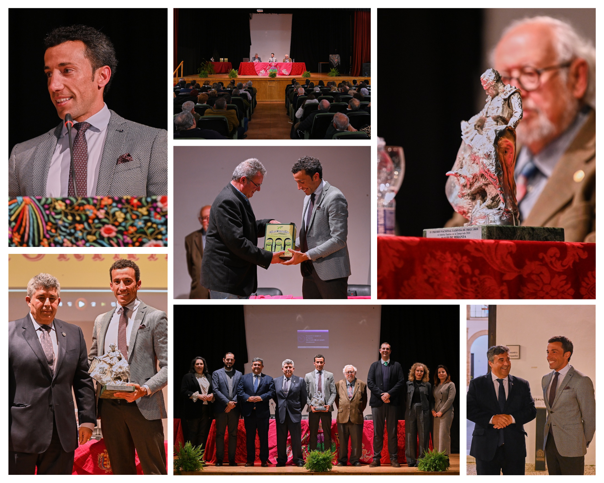 David de Miranda, galardonado con el XIII Premio Nacional ‘La Divisa de Trigueros’