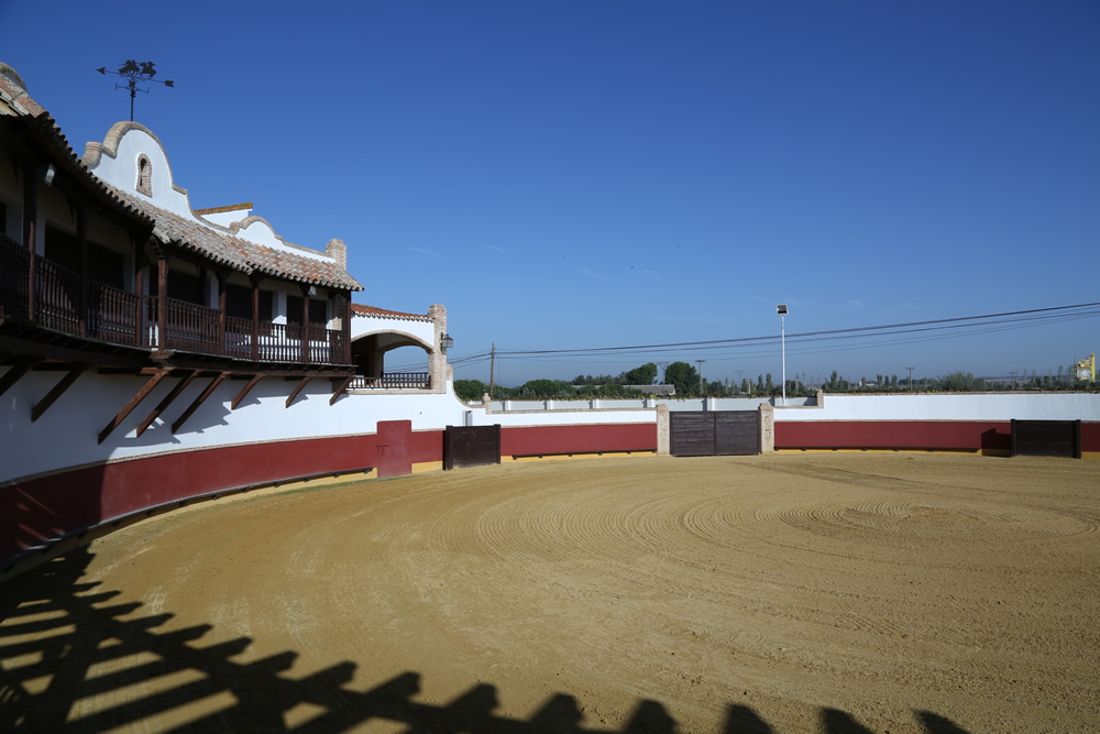 Arganda del Rey celebra la II Vid de Plata: un certamen de novilladas sin picadores para promocionar el futuro del toreo