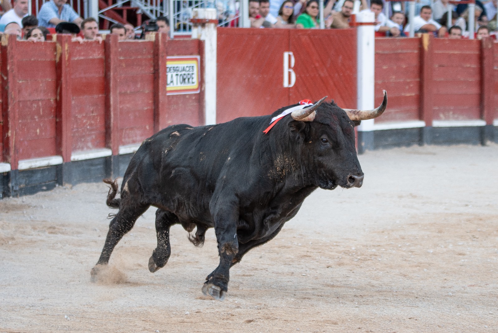 Los toros de la Copa Chenel correrán el encierro en Colmenar de Oreja