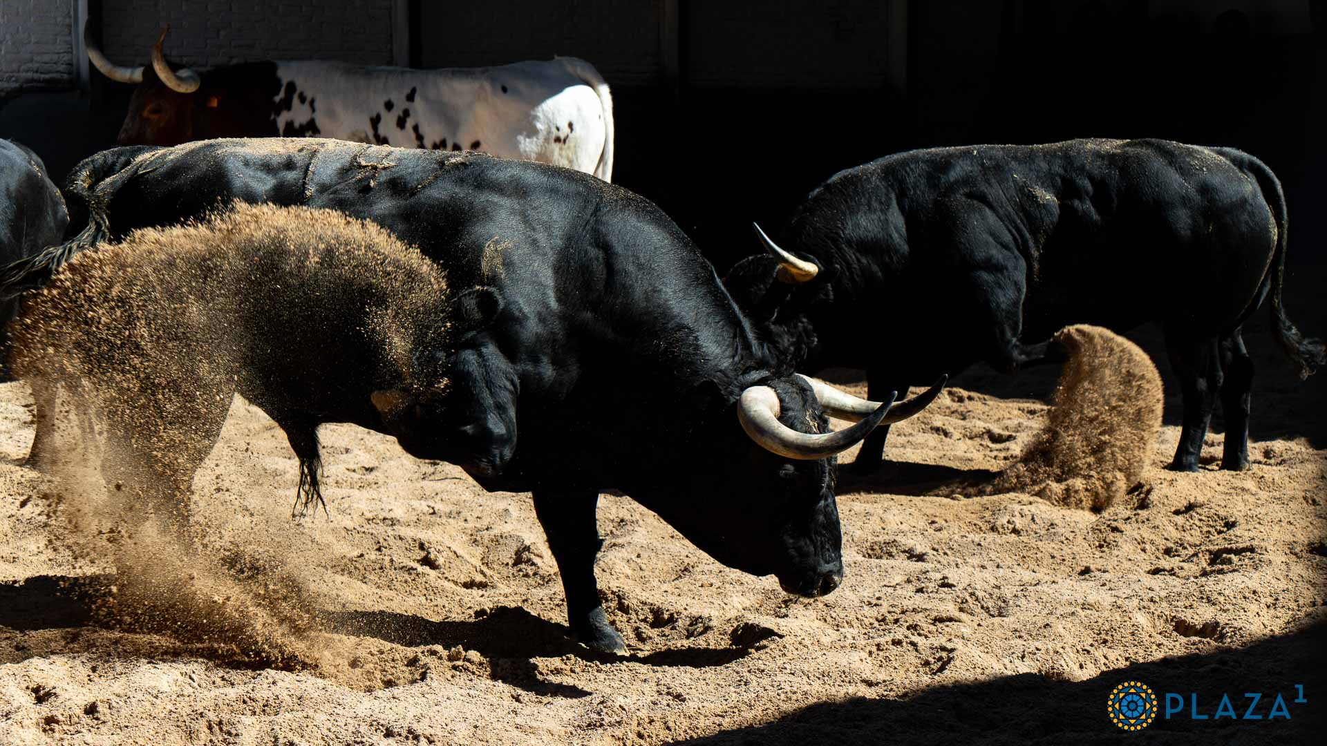 Toros de Victoriano del Río para la sexta cita de 'No Hay Billetes' de San Isidro 2025