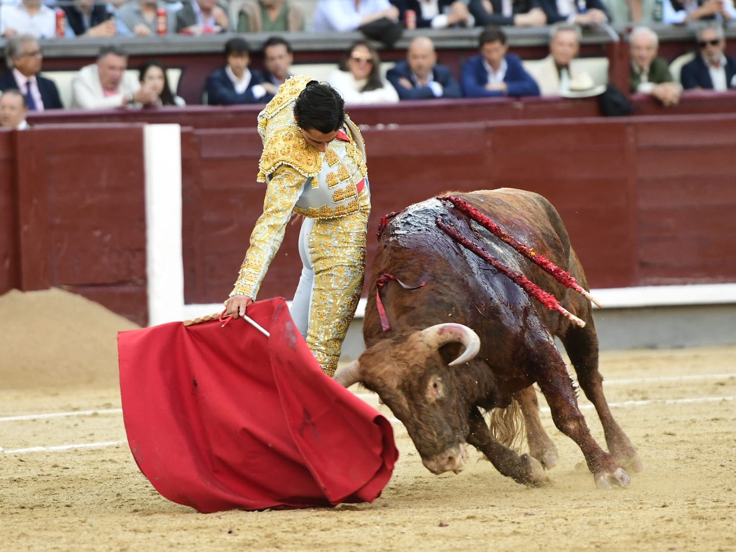 Vuelta al ruedo de El Mene dentro de una interesante novillada de Conde de Mayalde
