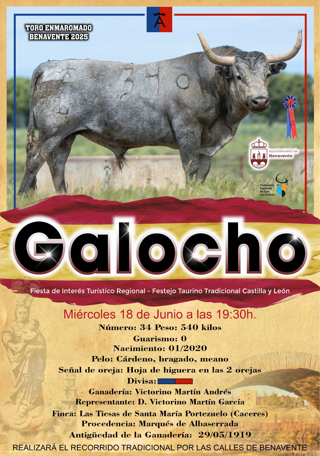 Benavente ya conoce a "Galocho", el toro enamorado de Victorino