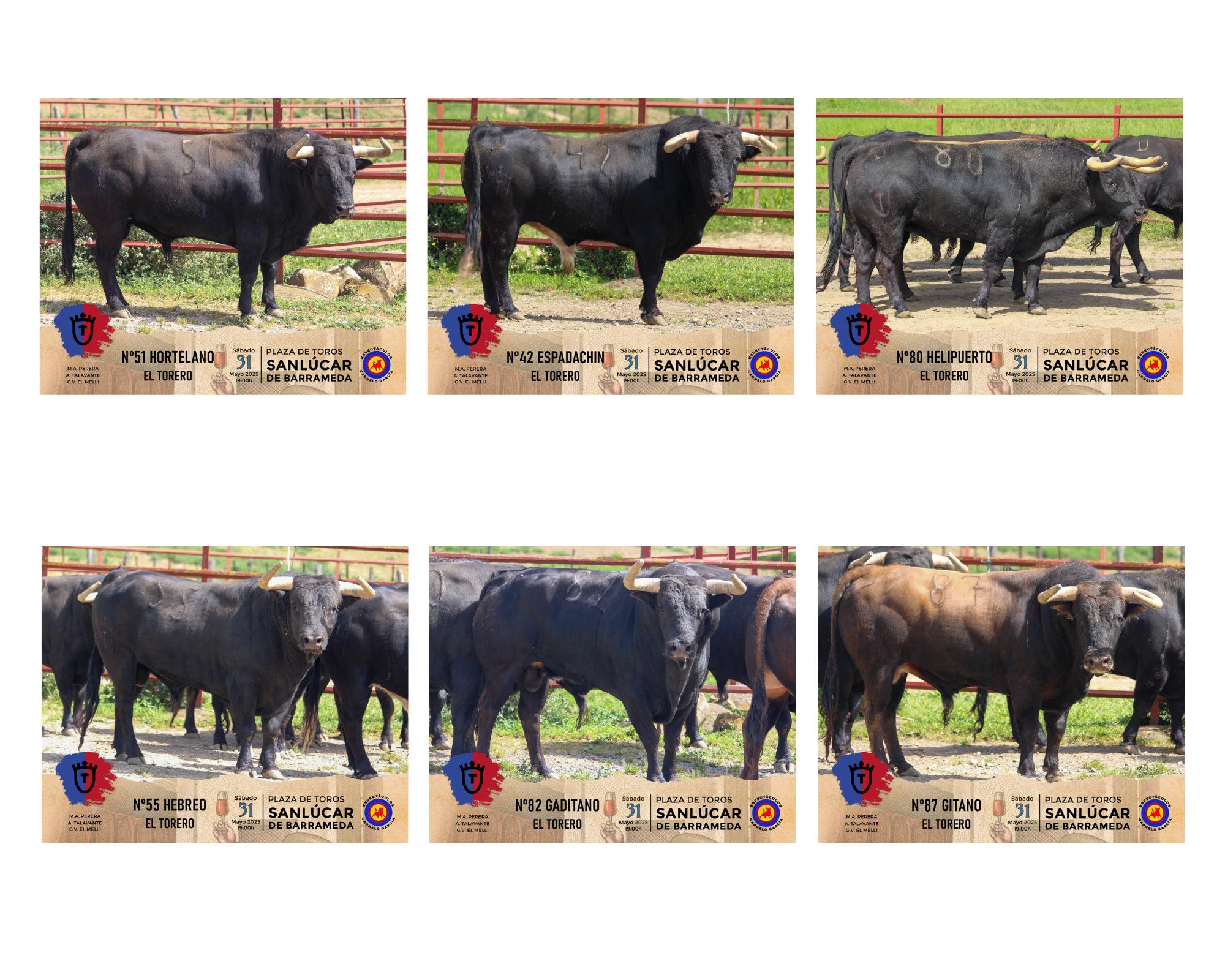 Así son los toros de El Torero para este sábado en Sanlúcar de Barrameda