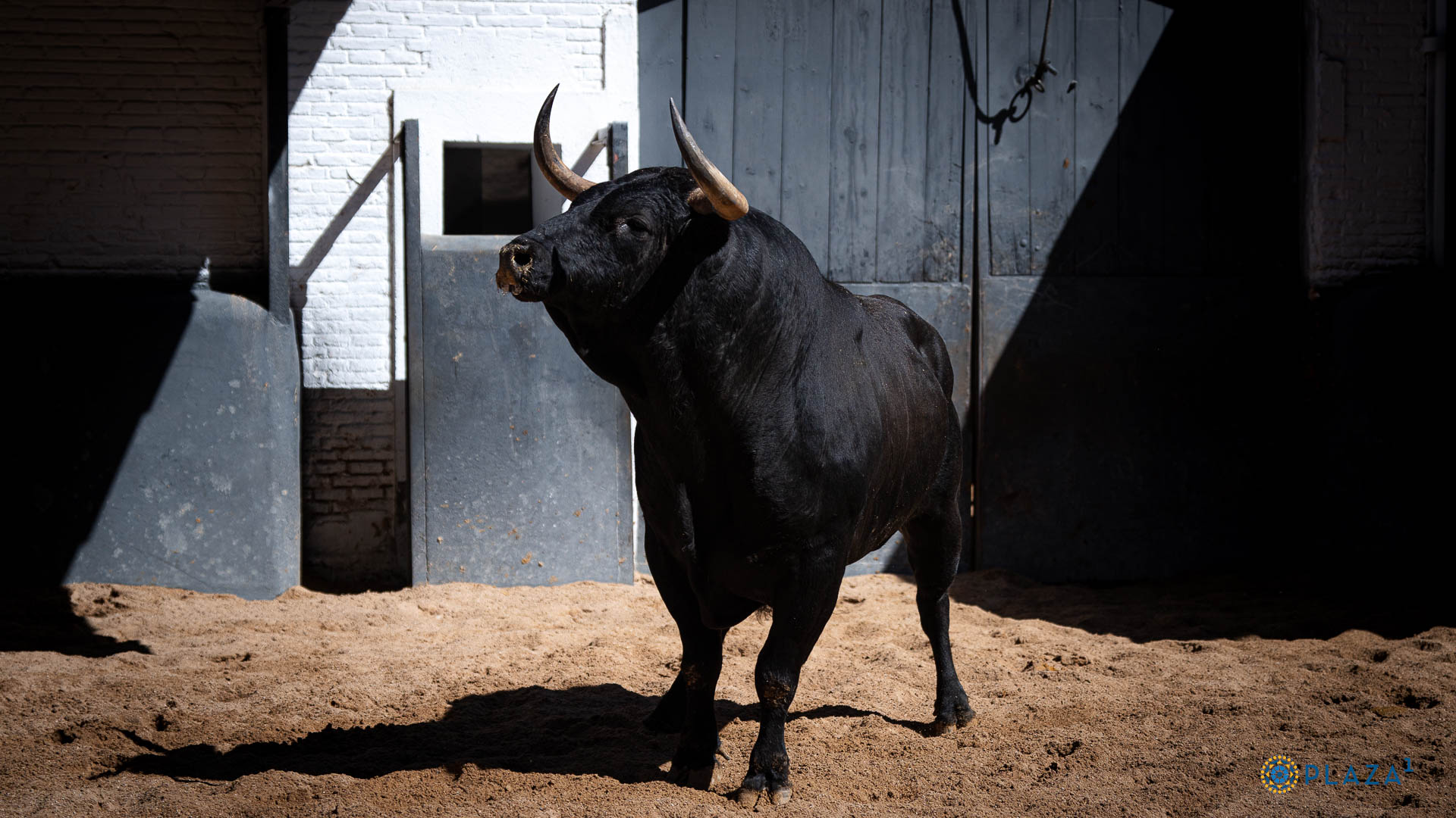 'Langosto', abre la corrida de Dolores Aguirre en Madrid