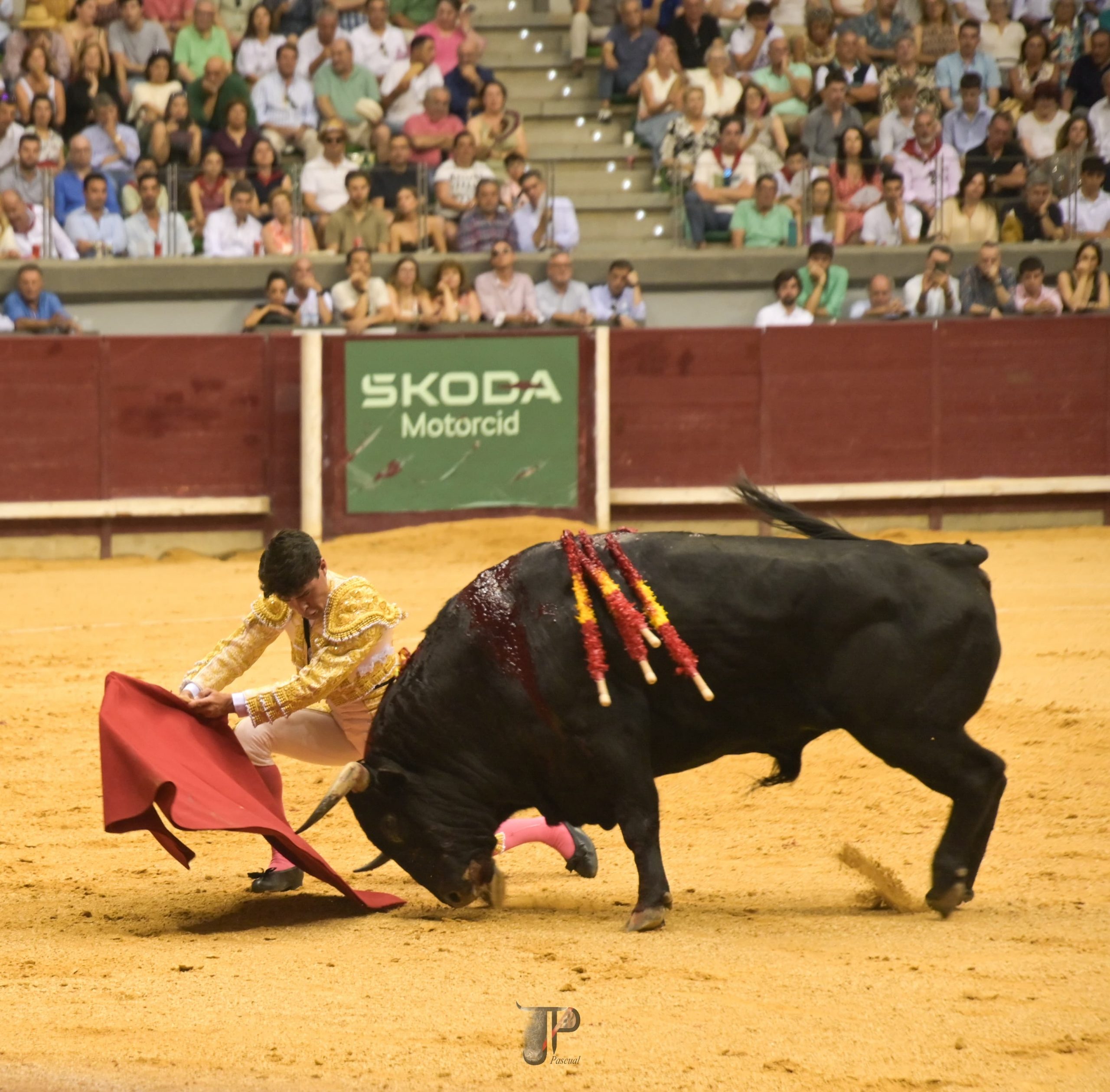 Jarocho presenta su bien concepto ante sus paisanos en una singular corrida el día de San Pedro en Burgos