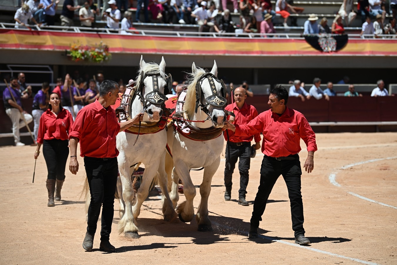 Montealto sustituirá a Valverde en Istres tras la baja de dos toros del desafío