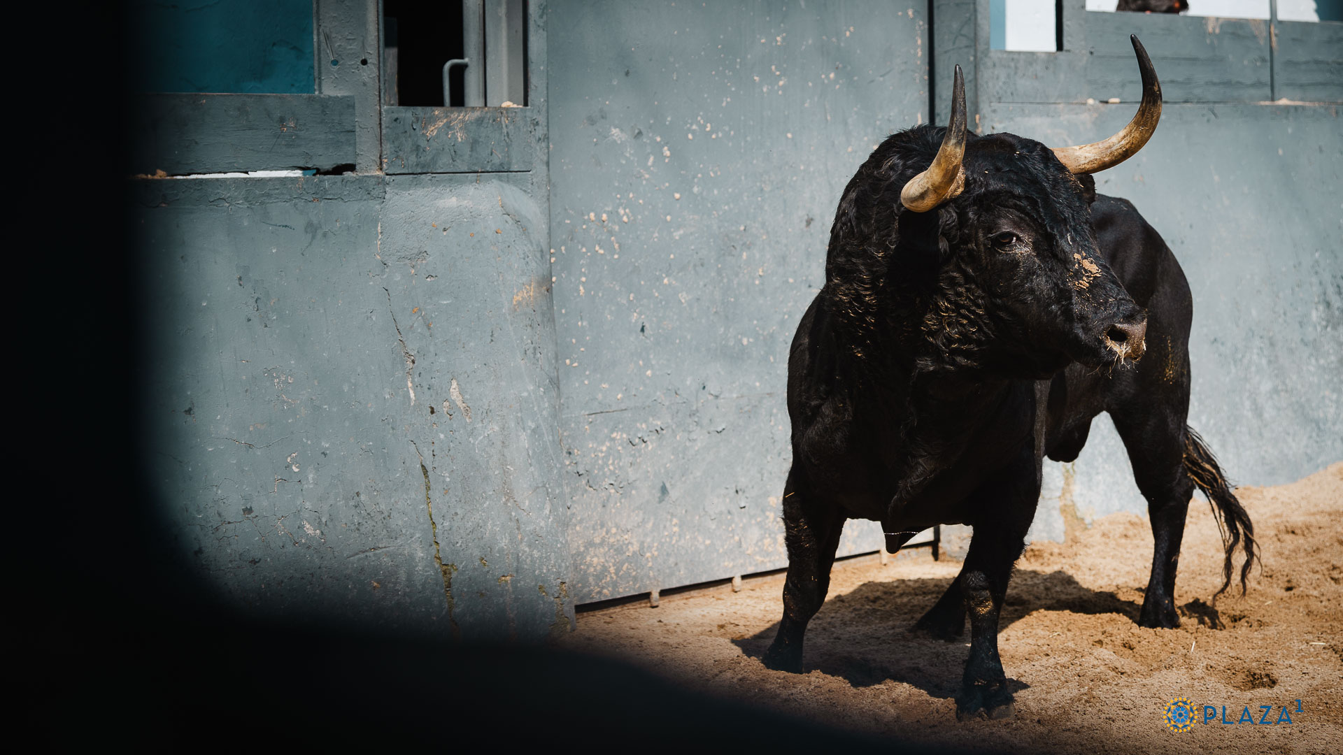 'Vinatero', de Lagunajanda, para la confirmación de Alejandro Peñaranda