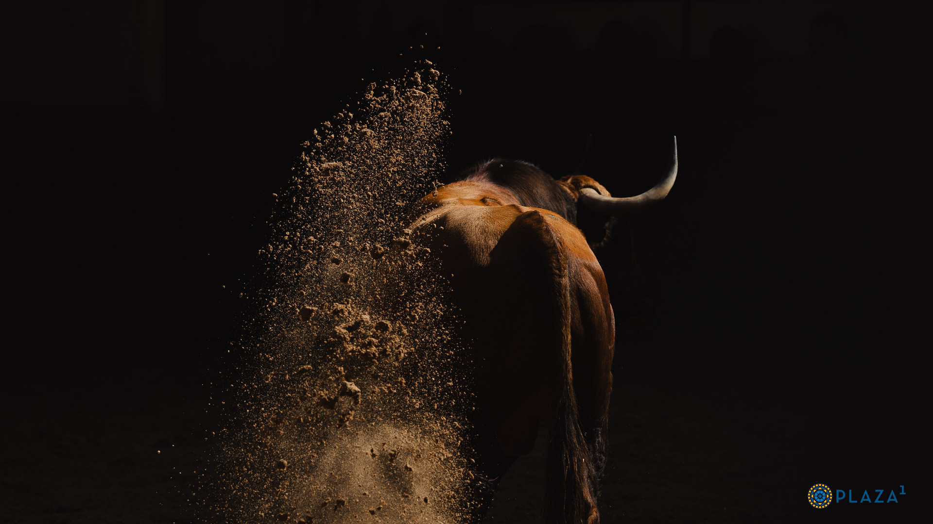 "Tomatero" abre la corrida de Jandilla para esta tarde en Madrid