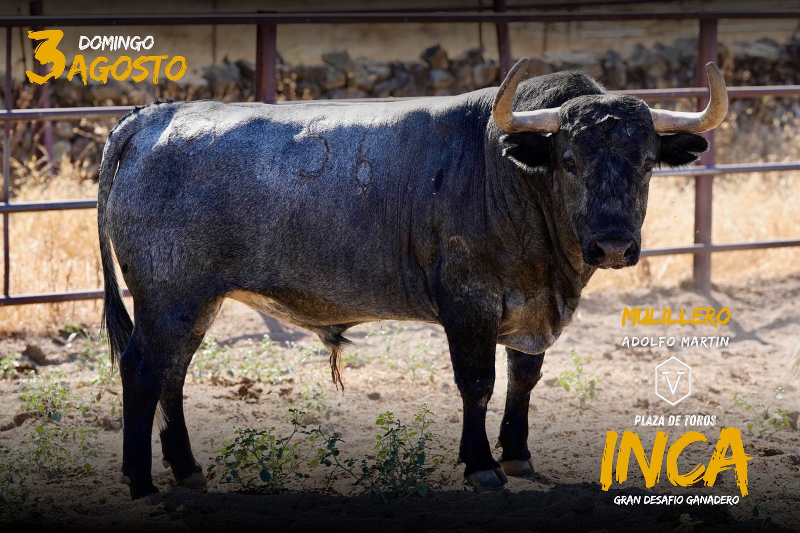 Inca anuncia los toros para su corrida concurso del 3 de agosto