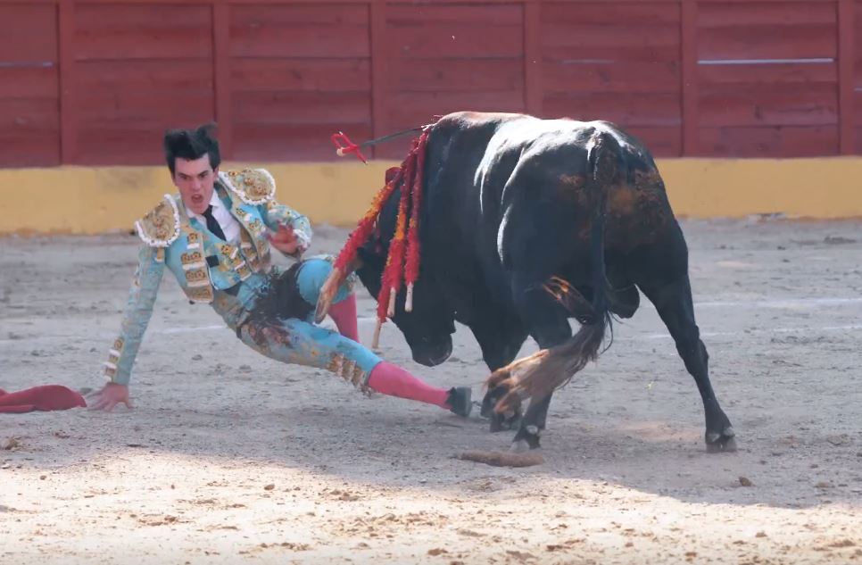Sergio Rollón, en la UVI tras ser intervenido con éxito de una gravísima cornada en Valdetorres del Jarama