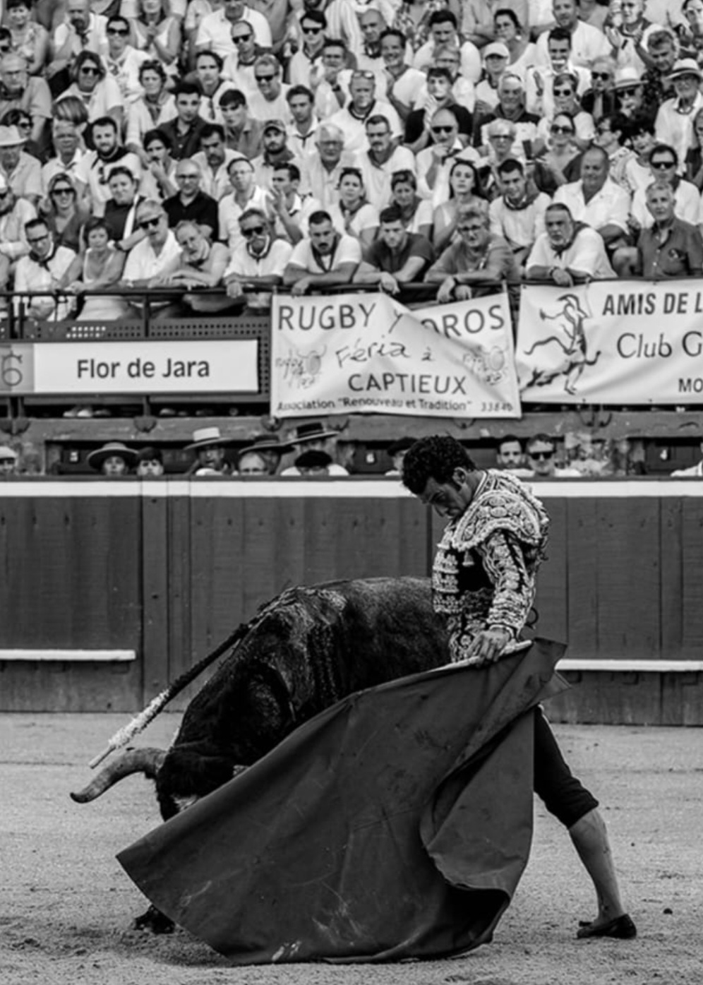Morenito de Aranda : Vitola de figura en Mont de Marsan