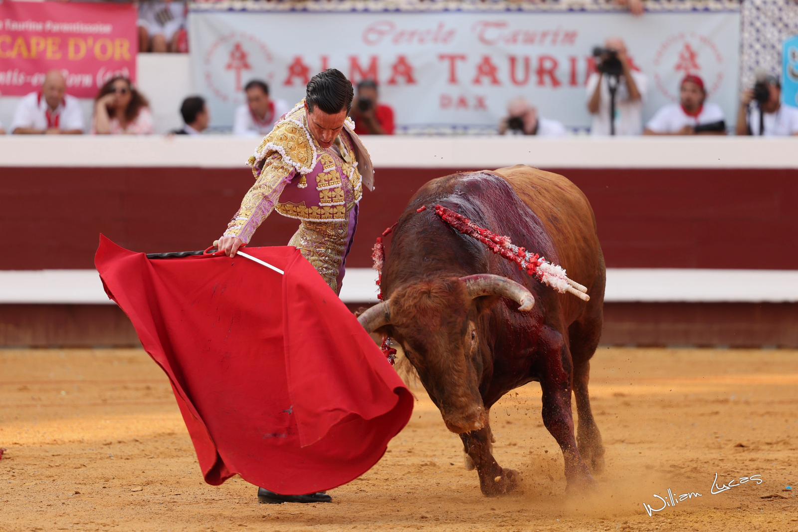 Fortes, El Rafi y David Galván se topan con una seria corrida de Pedraza de Yeltes en Arles