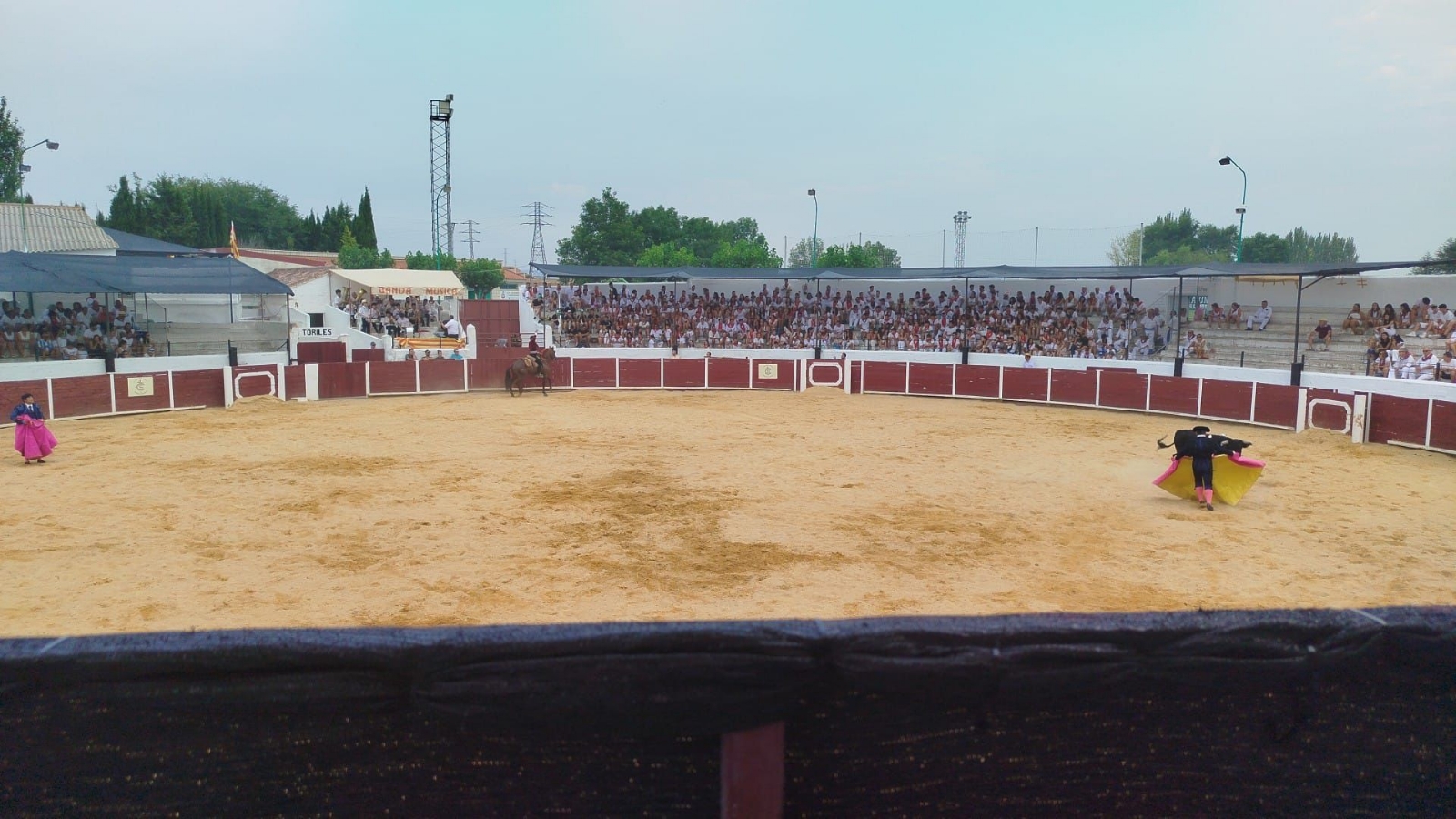 Oreja por coleta en Calamocha
