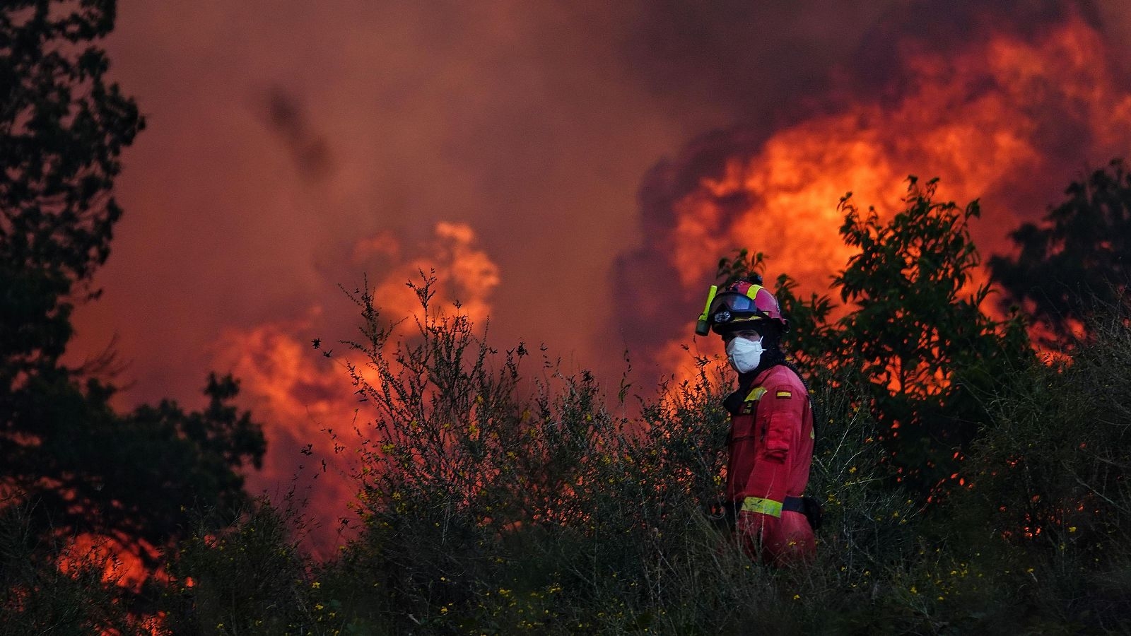 Cuando el falso ecologismo prende fuego al campo