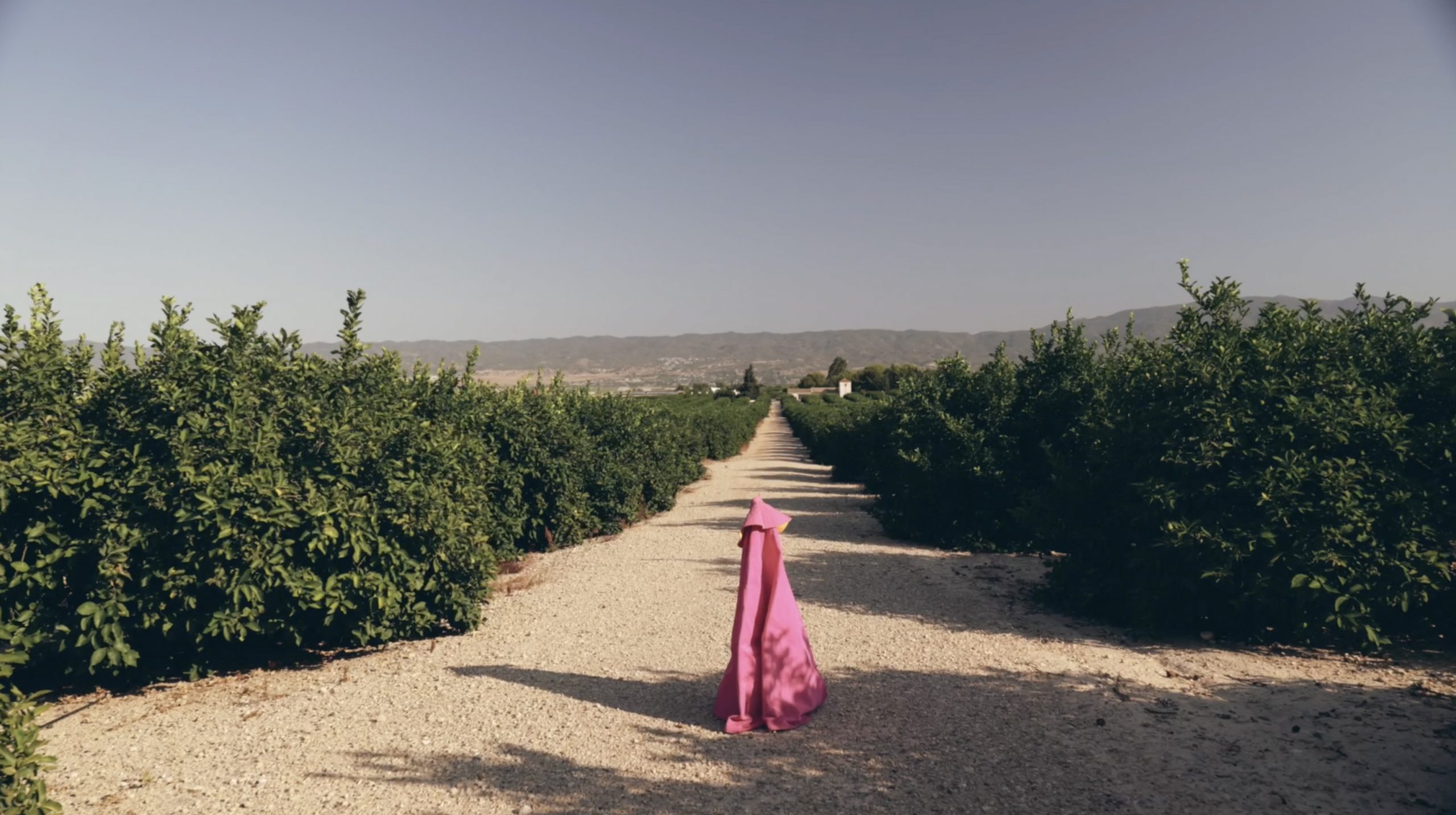 Un original spot une toreo y gastronomía para anunciar los toros en Murcia