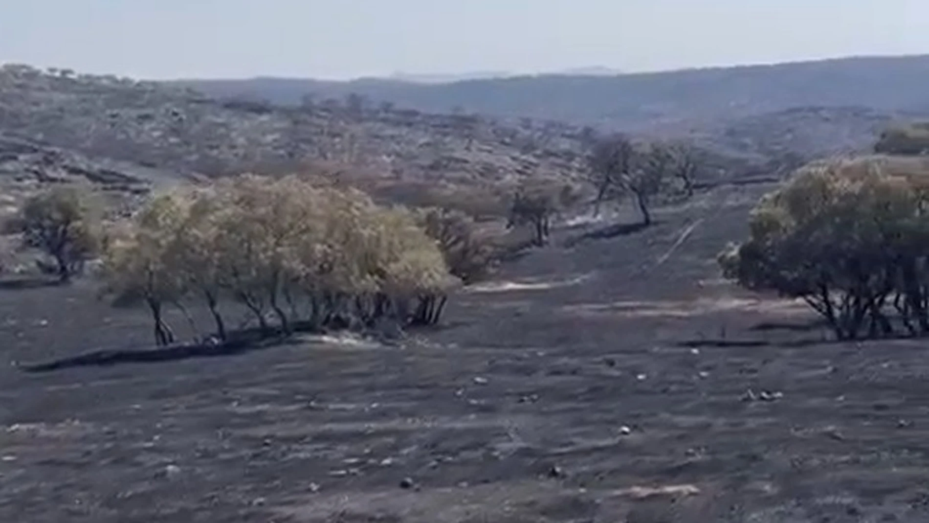 La RUCTL muestra su apoyo y solidaridad a su directivo Borja Domecq, ganadero de “Jandilla”, tras el devastador incendio en la finca “Los Quintos”