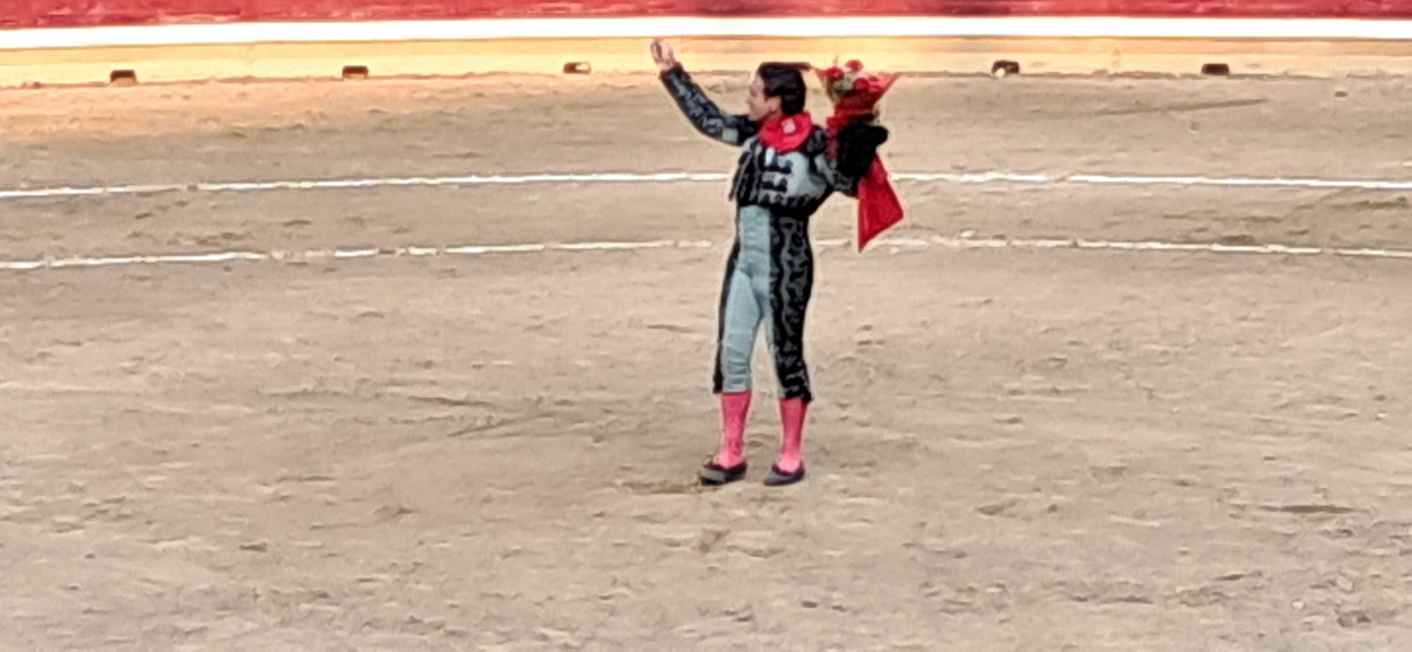 𝗙𝗘𝗥𝗜𝗔 𝗗𝗘 𝗦𝗔𝗡 𝗦𝗘𝗕𝗔𝗦𝗧𝗜𝗔𝗡 𝗬 𝗟𝗔 𝗩𝗜𝗥𝗚𝗘𝗡 𝗗𝗘 𝗟𝗔 𝗔𝗦𝗨𝗡𝗖𝗜𝗢𝗡 || 𝗧𝗔𝗙𝗔𝗟𝗟𝗔 (𝗡𝗮𝘃𝗮𝗿𝗿𝗮) 🏟 📝 Emilio de la Serna y Rubén Pinar triunfan ante la exigencia del imponente encierro de Palha