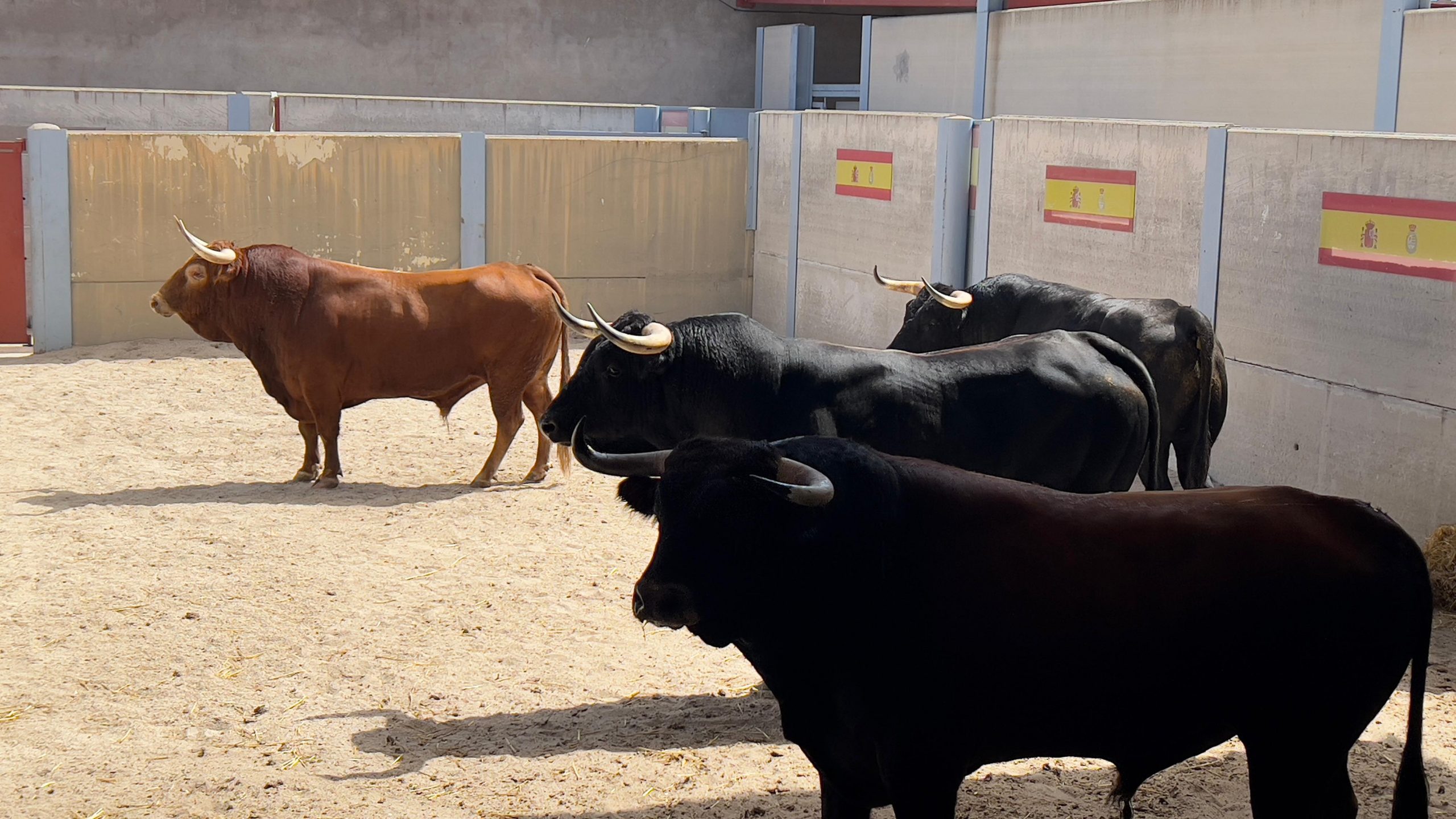 'Guerrito' de Piedra Escrita abre el Alfarero de Oro en Villaseca de la Sagra
