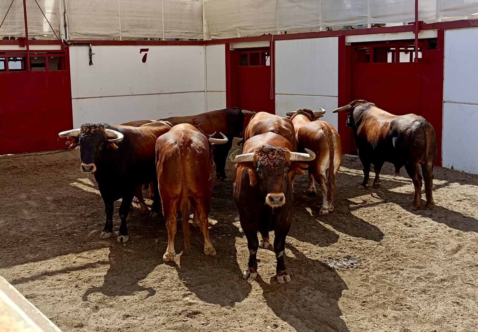 Seis novillos de Macandro 'descorchan' la feria en Málaga