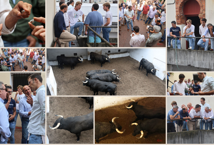Corrida completa de Ribeiro Telles para la segunda de la Feria de Begoña