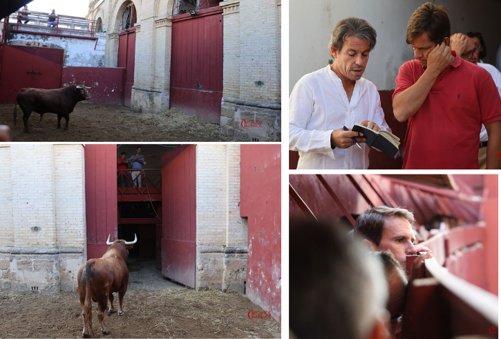 'Derivo' abre la corrida de El Freixo en El Puerto de Santa María