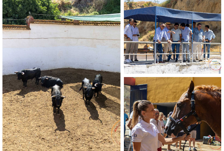 “Justificado”, de Fermín Bohórquez, abrirá la tarde en el Coso de La Merced