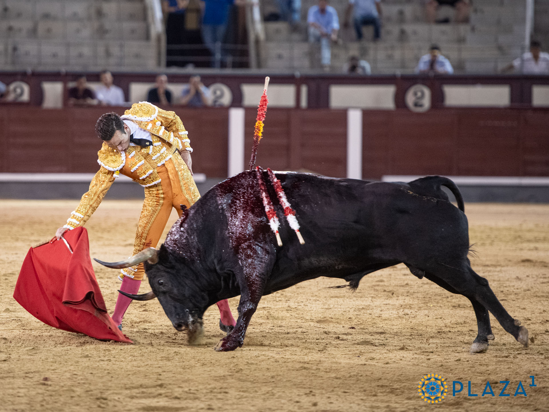 José Fernando Molina puntúa de nuevo en Las Ventas