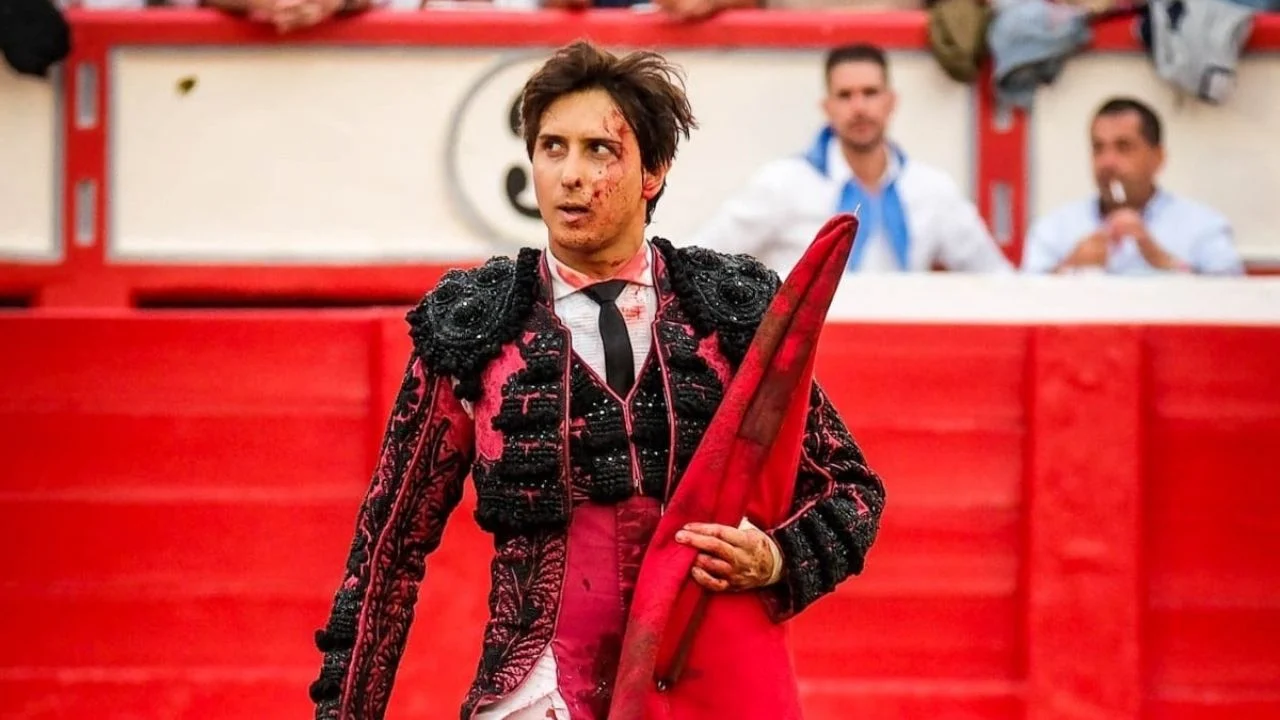 Entre bulos y verdad: el toreo en la era del tuitendido