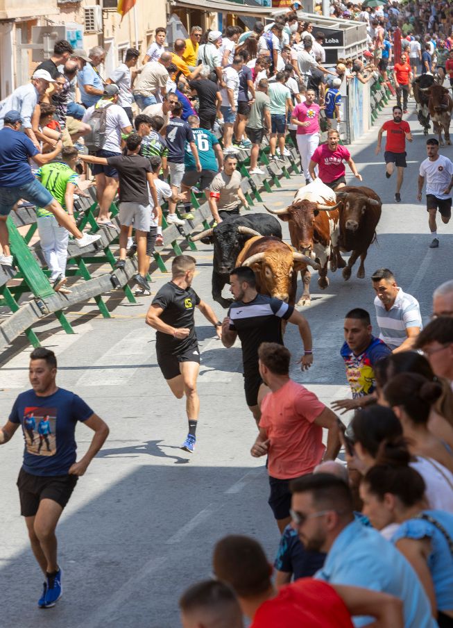 Un último encierro con los astados de Chamaco rápido y limpio en las Fiestas Patronales de Blanca 2025