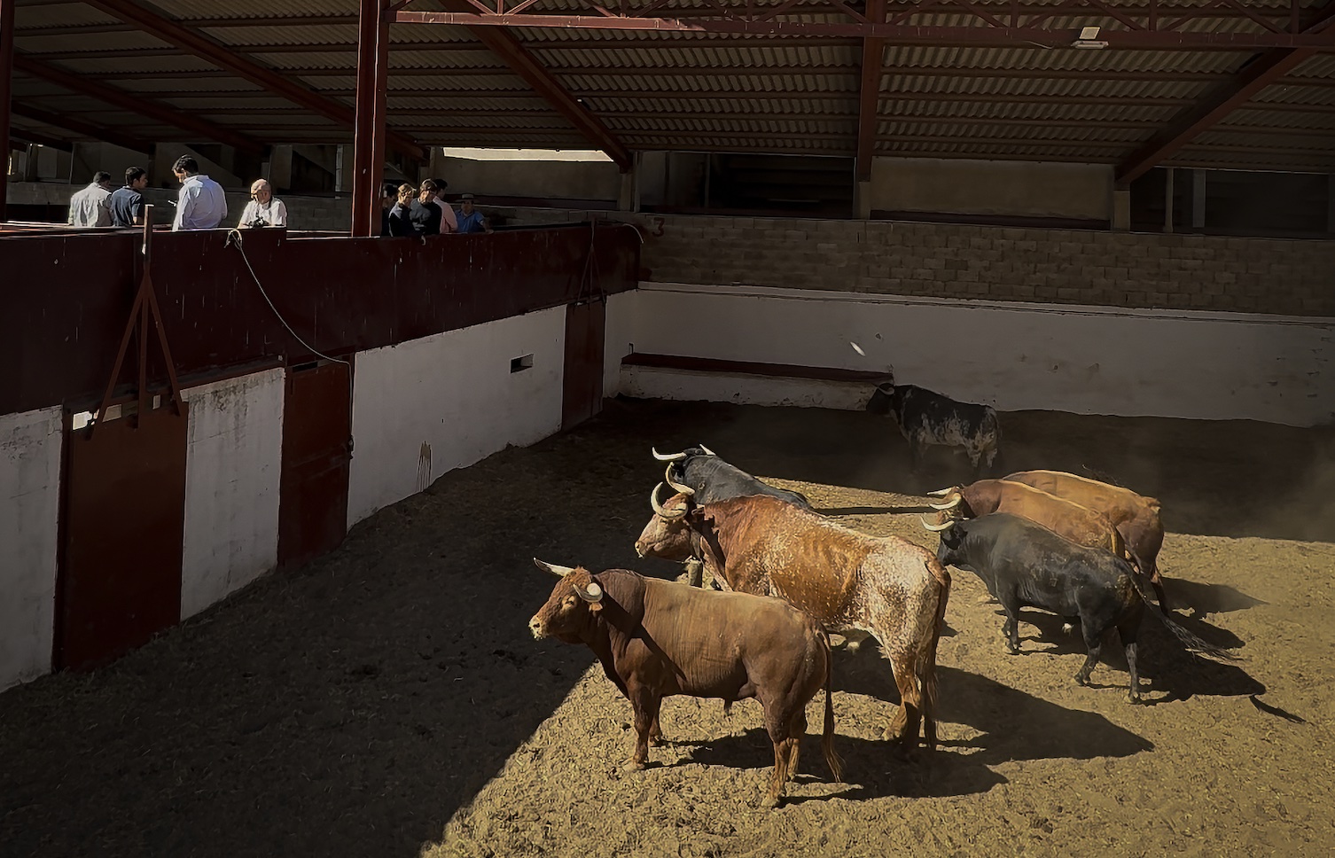 Cinco de Núñez del Cuvillo y uno de Hnos. García Jiménez para la tercera de San Antolín