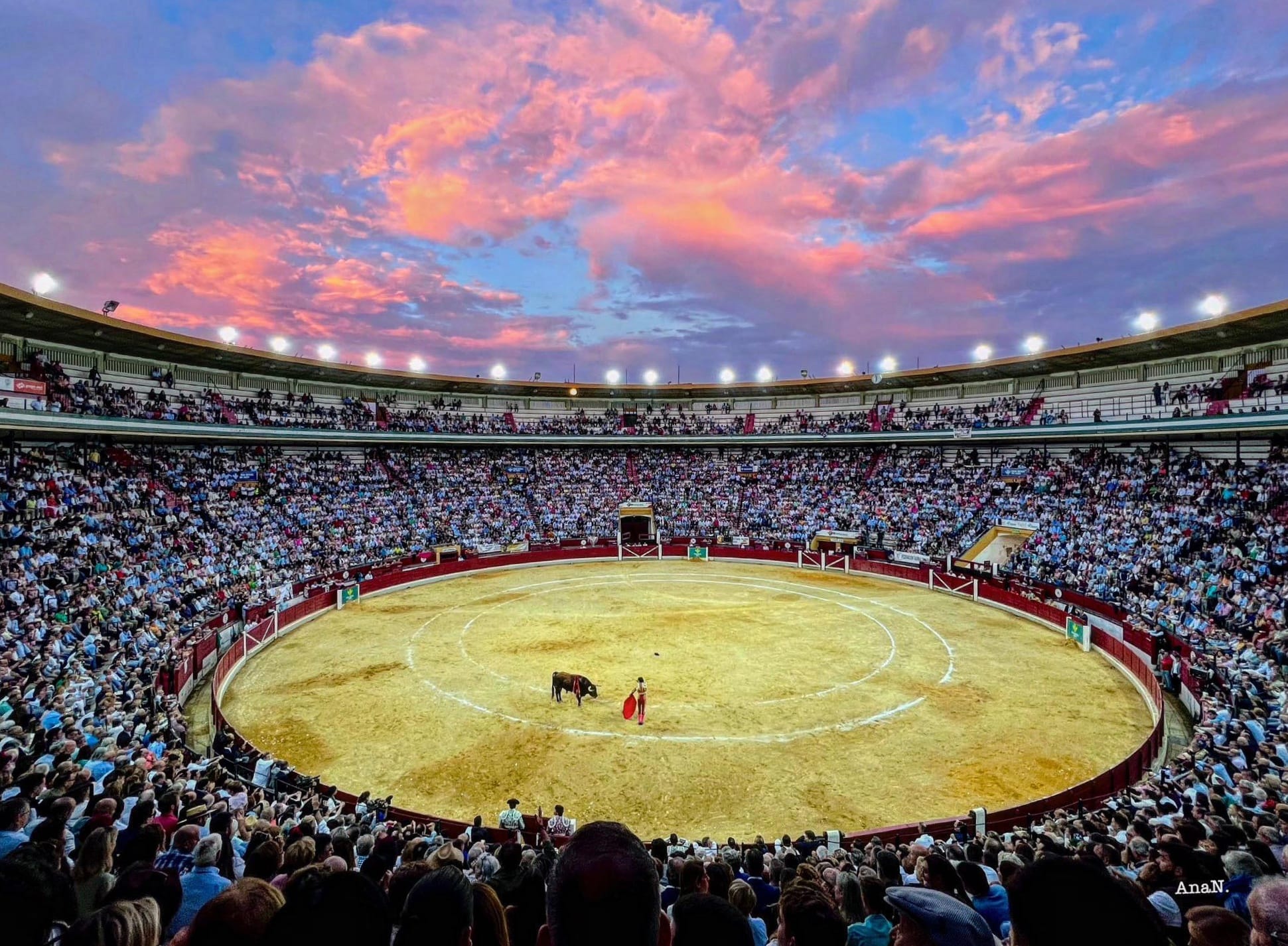 Comienza la venta de entradas sueltas para la feria taurina de San Lucas de Jaén