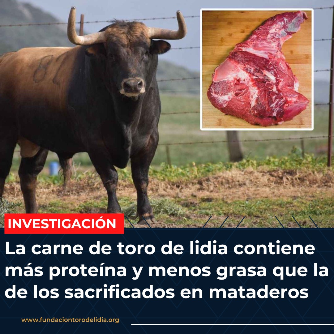 El Arancel de los Toros