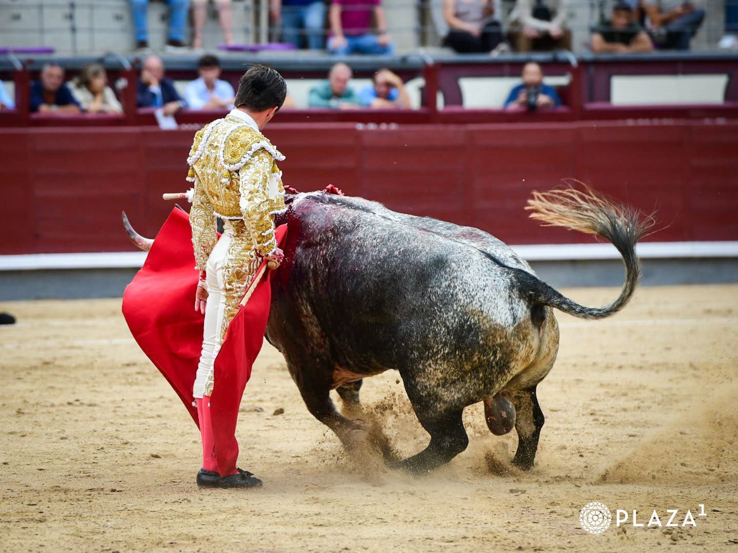Villita destaca en la novillada con buenos detalles dando la única vuelta al ruedo de la tarde