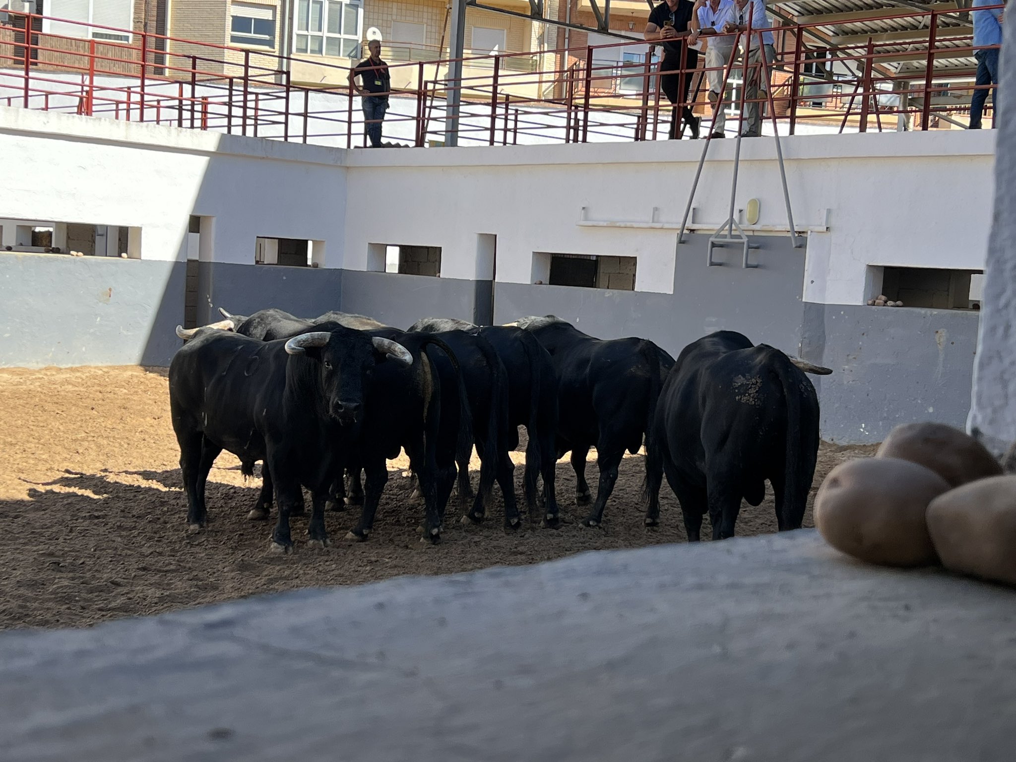 'Carretón' de Los Espartales abre los rejones en Albacete