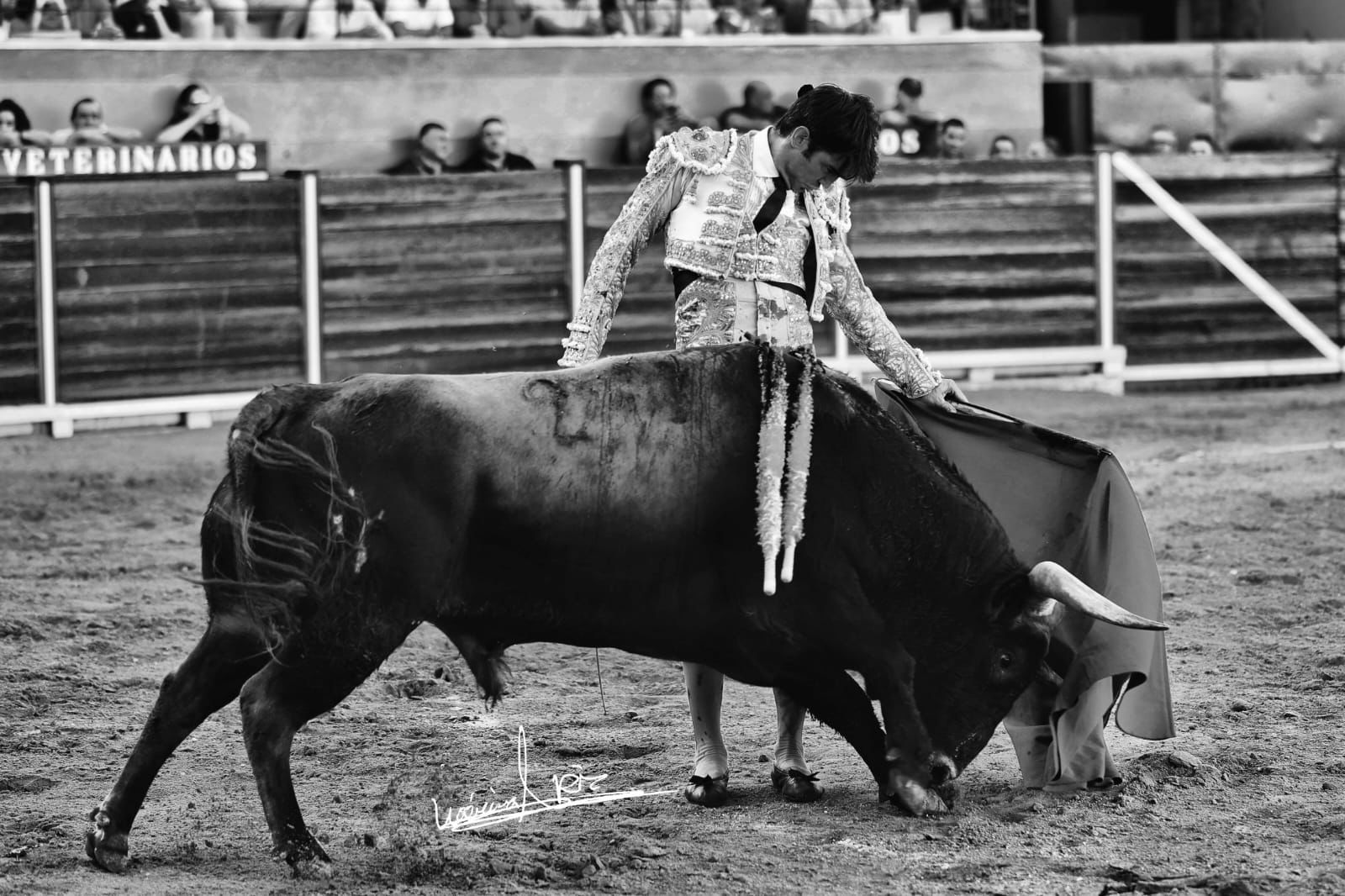 Adrián de Torres, nuevo golpe sobre la mesa en la provincia en plena composición de la Feria de Jaén