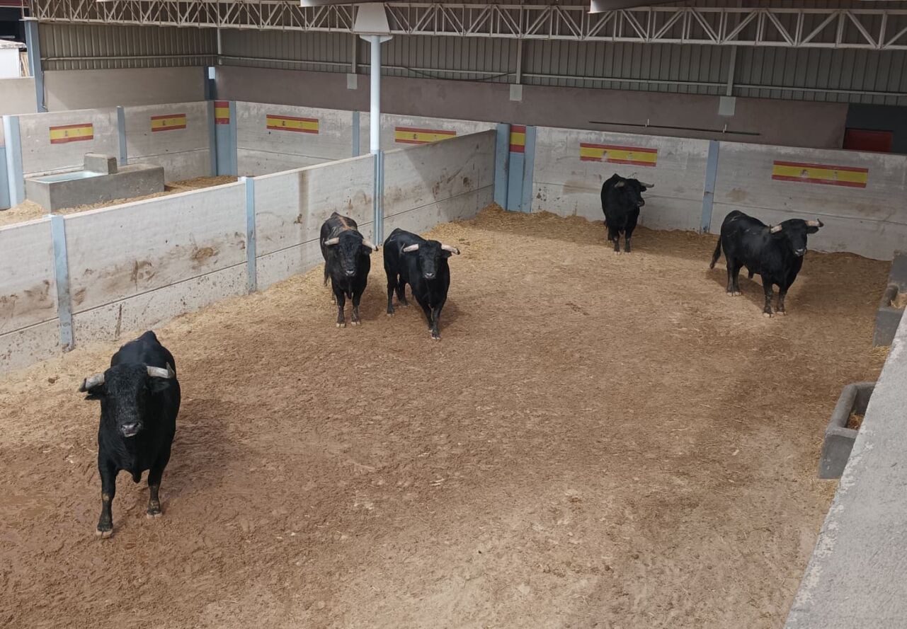 Seis de Cuadri para cerrar. Alfarero de Oro en Villaseca de la Sagra