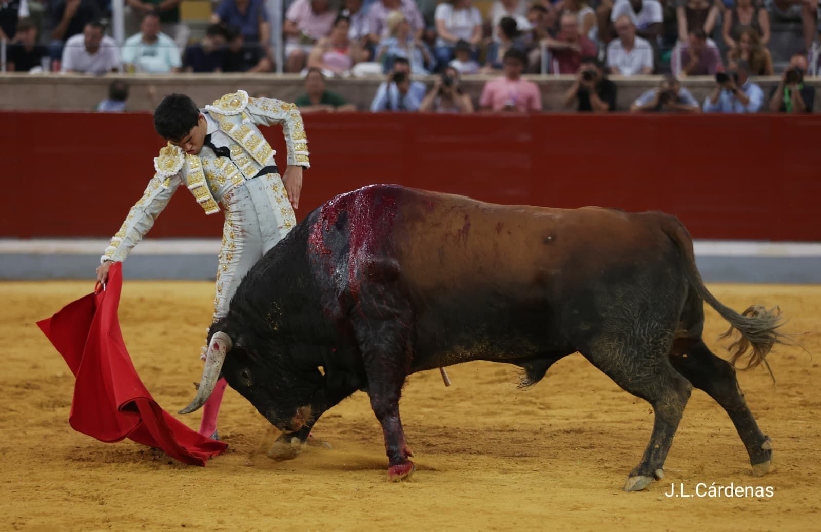 Tomás Bastos, triunfador del XXV Alfarero de Oro 2025