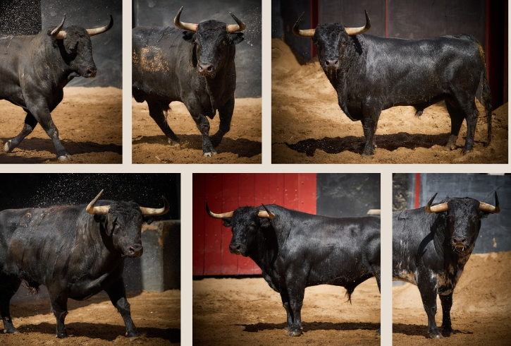 'Ebanista' de Victoriano del Río abre San Miguel en Sevilla