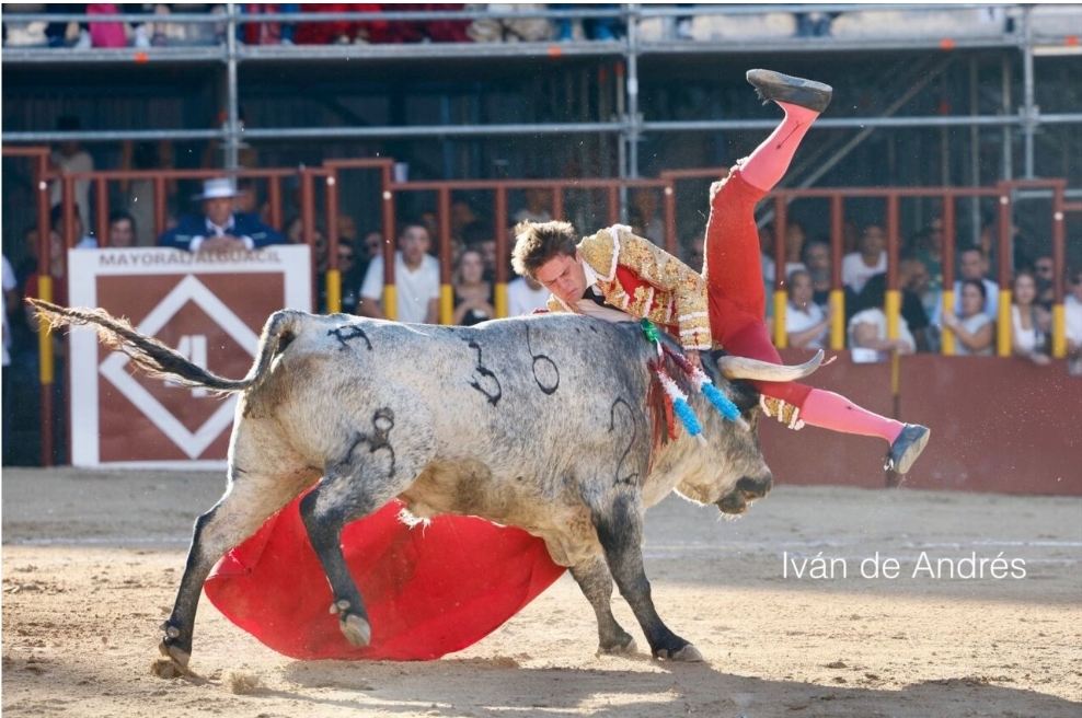 Cristiano Torres sufre una cornada en el mentón y lesiones en la rodilla y la frente en Arganda del Rey