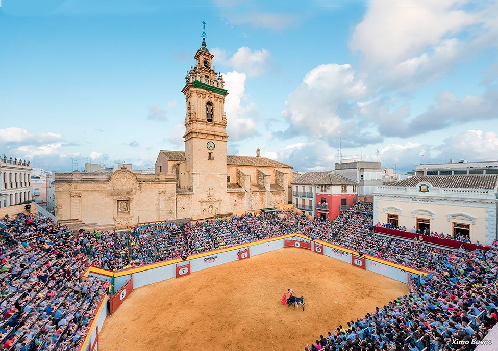 El Circuito Valenciano de Novilladas 2025 hace posible la celebración completa de la Feria de Algemesí