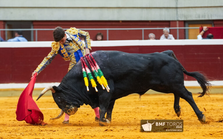 Aarón Palacio sustituirá a Pablo Aguado este martes en Logroño