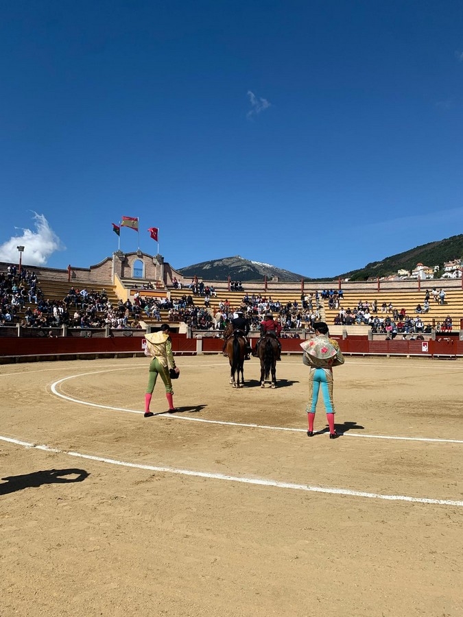 Gran reparto de trofeos en novilladas y corridas: Resultados de festejos