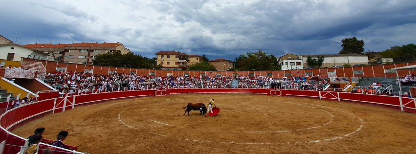 Sangüesa anuncia una variada XIX Feria Taurina “Pocha de Oro” del 10 al 17 de septiembre