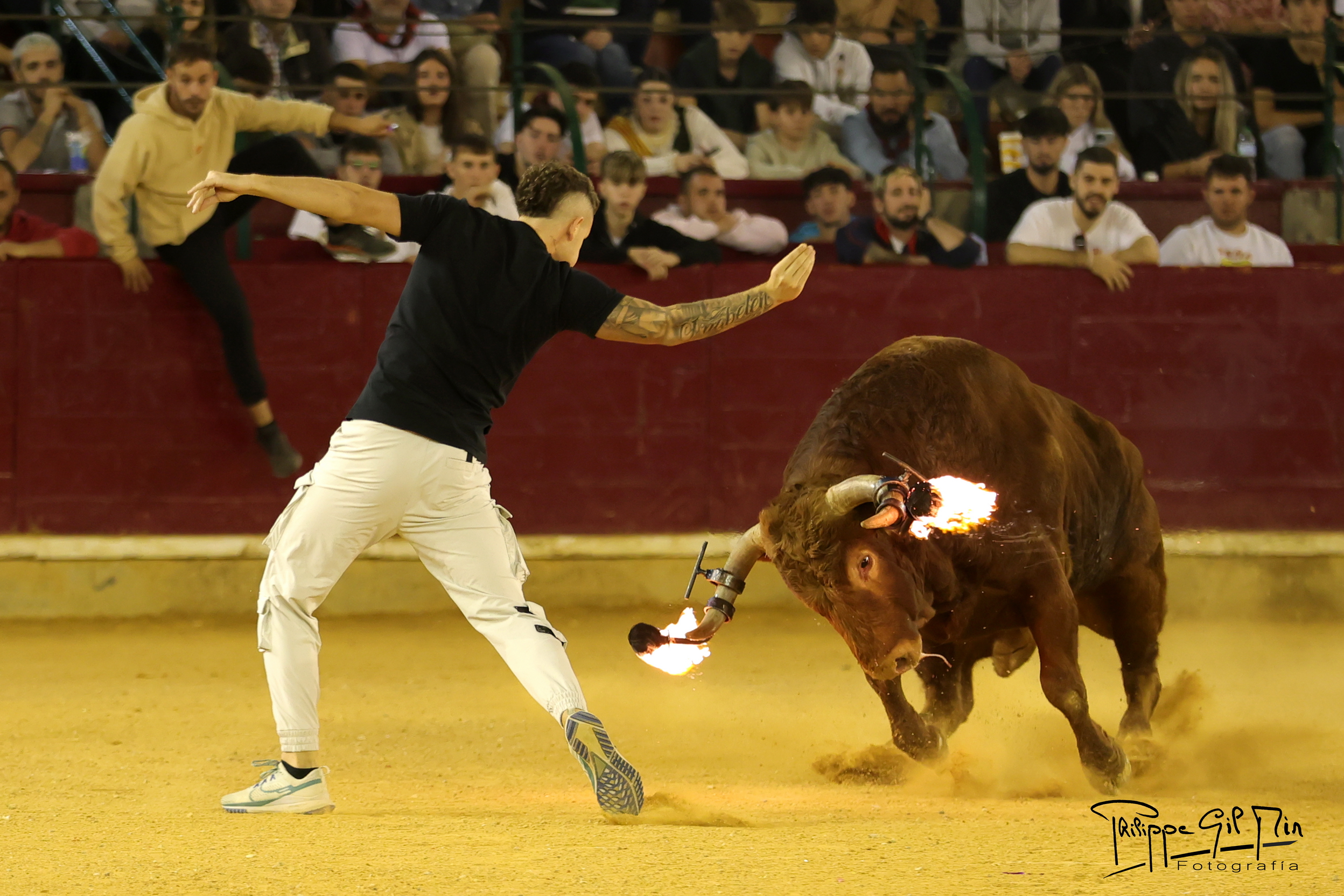 Aragón suspende todos los festejos taurinos populares por la alerta sanitaria del ganado