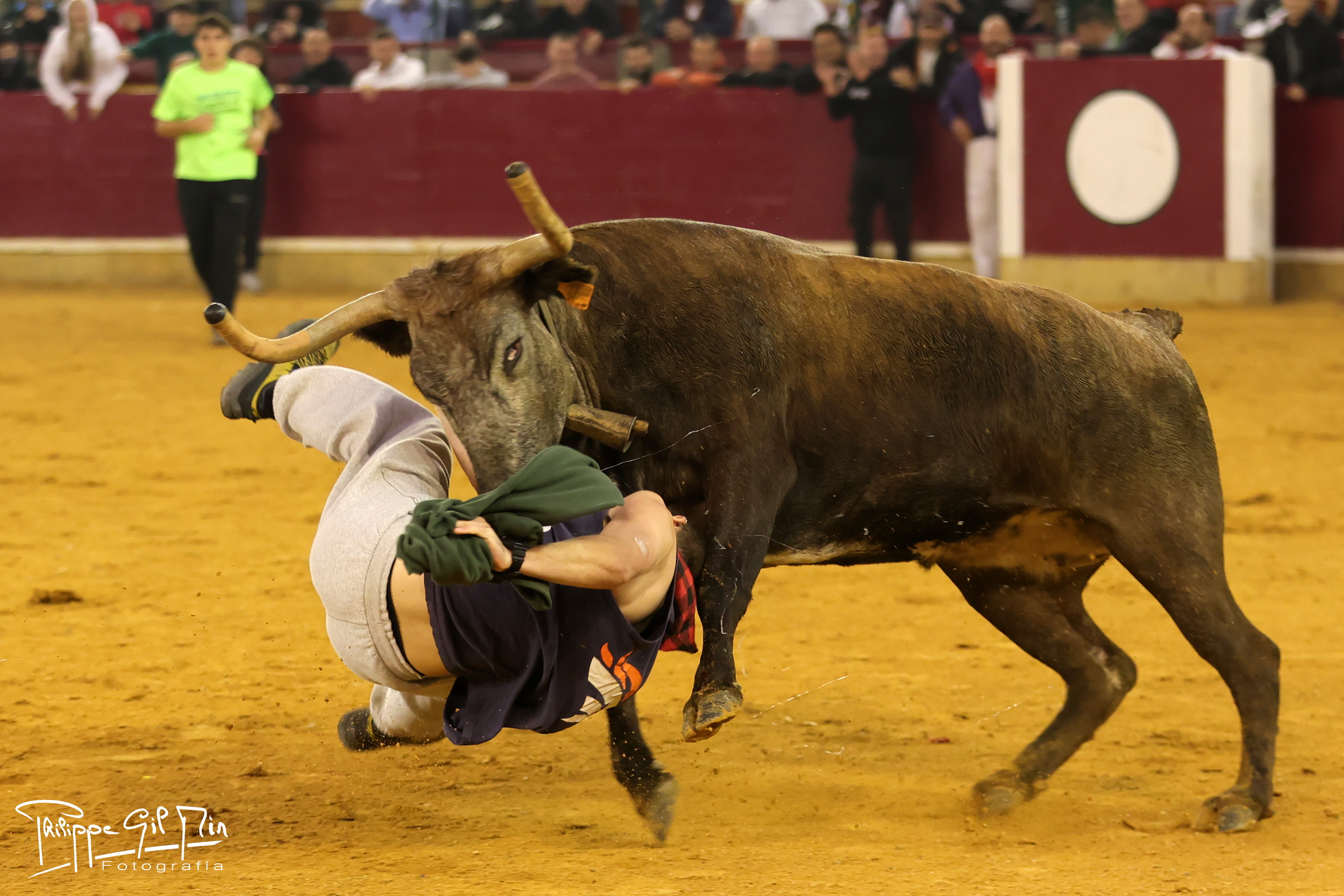 Las vacas de Maylín y El Ancla ponen la emoción en la mañana zaragozana